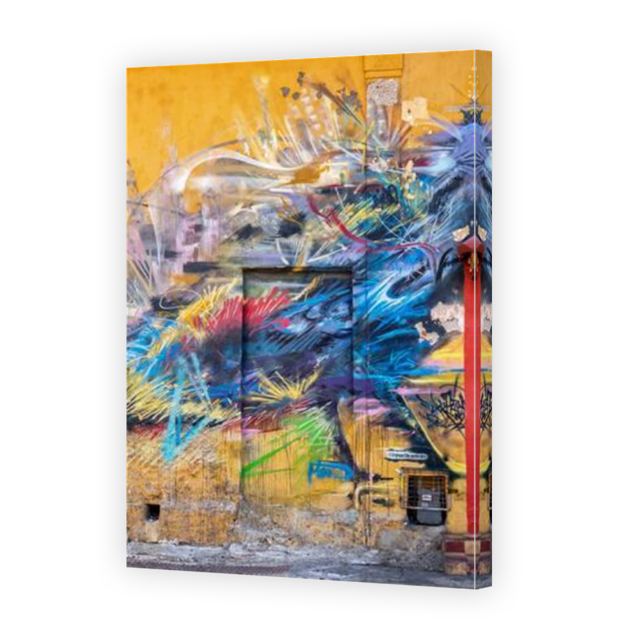 Thumbnail for Canvas - Mirror Image Canvas Wrap