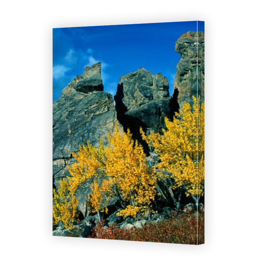 Thumbnail for Canvas - Mirror Image Canvas Wrap