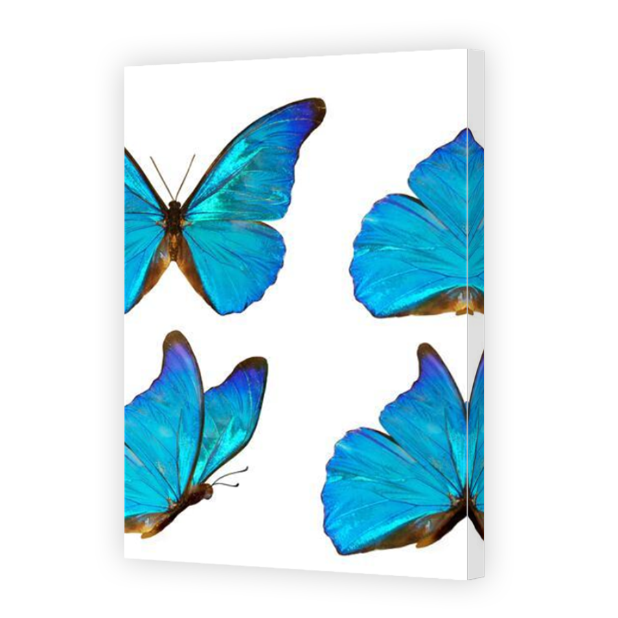Thumbnail for Canvas - Mirror Image Canvas Wrap