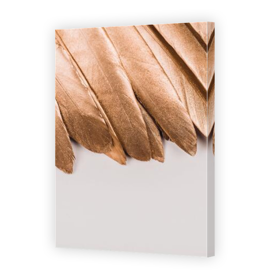Thumbnail for Canvas - Mirror Image Canvas Wrap