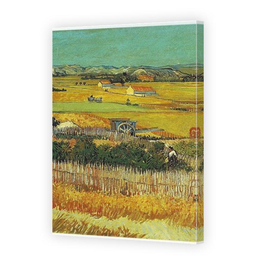 Thumbnail for Canvas - Mirror Image Canvas Wrap