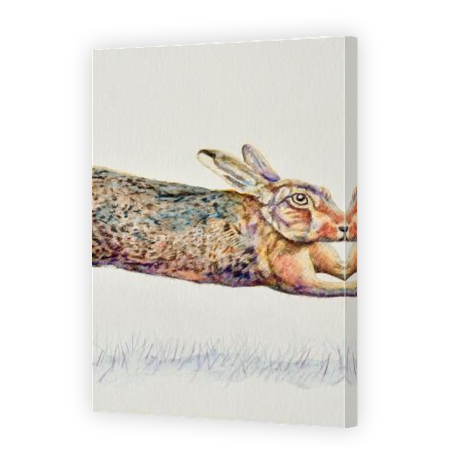 Thumbnail for Canvas - Mirror Image Canvas Wrap