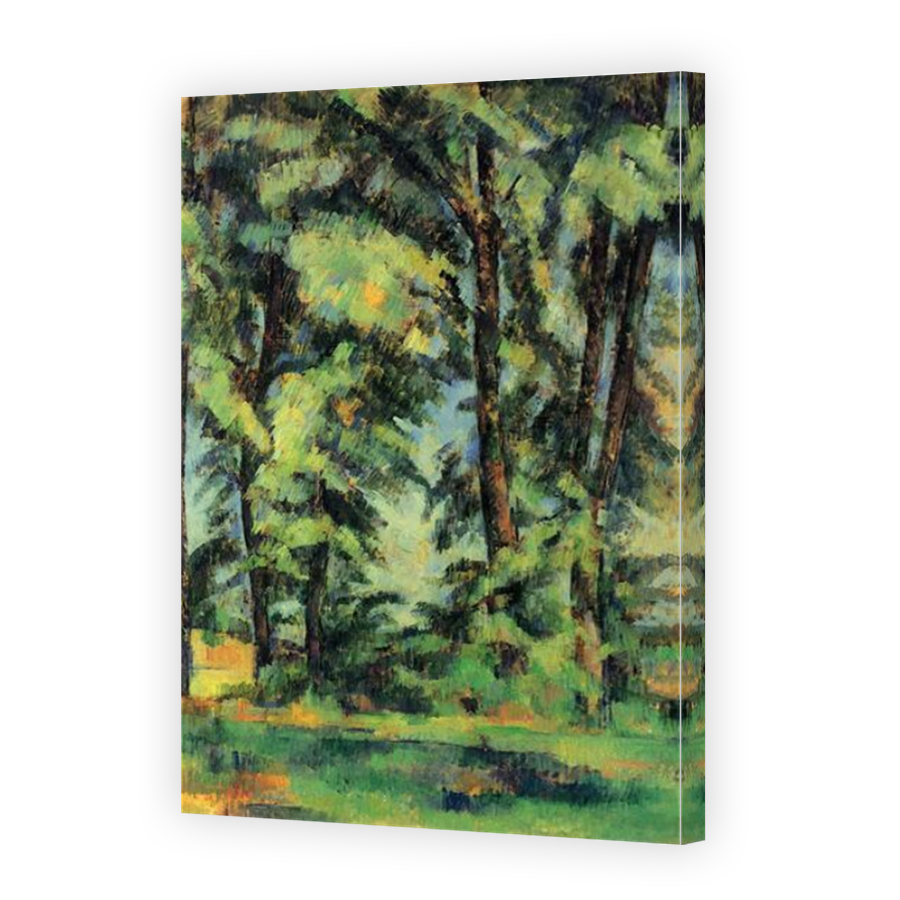 Thumbnail for Canvas - Mirror Image Canvas Wrap