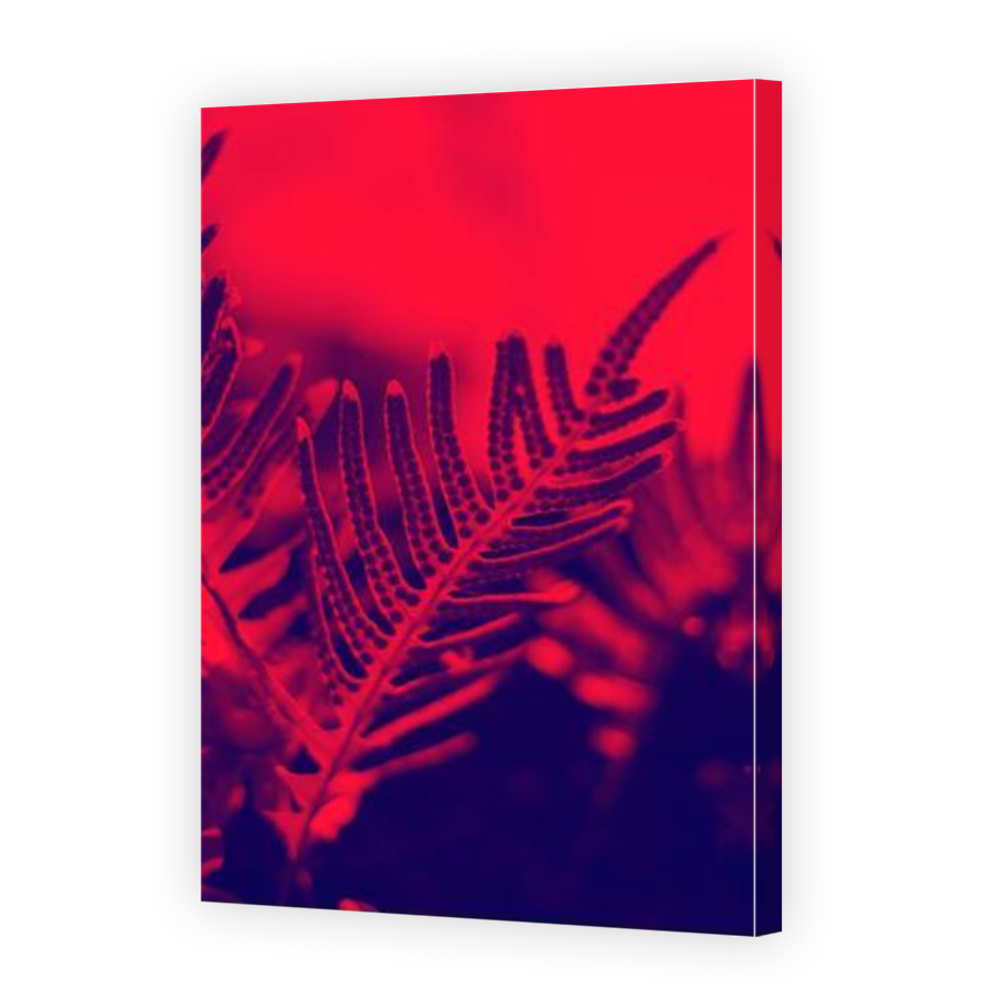 Thumbnail for Canvas - Mirror Image Canvas Wrap