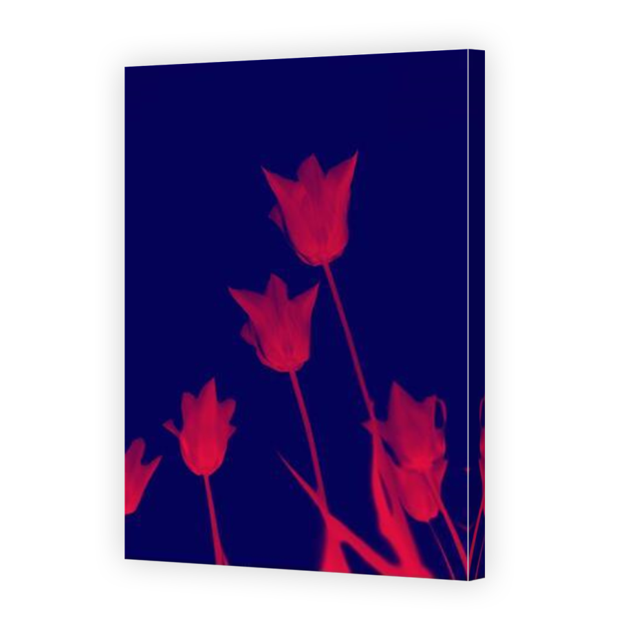 Thumbnail for Canvas - Mirror Image Canvas Wrap