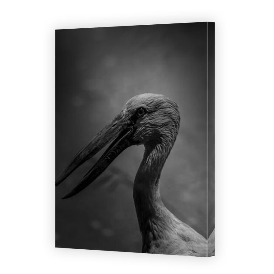 Thumbnail for Canvas - Mirror Image Canvas Wrap