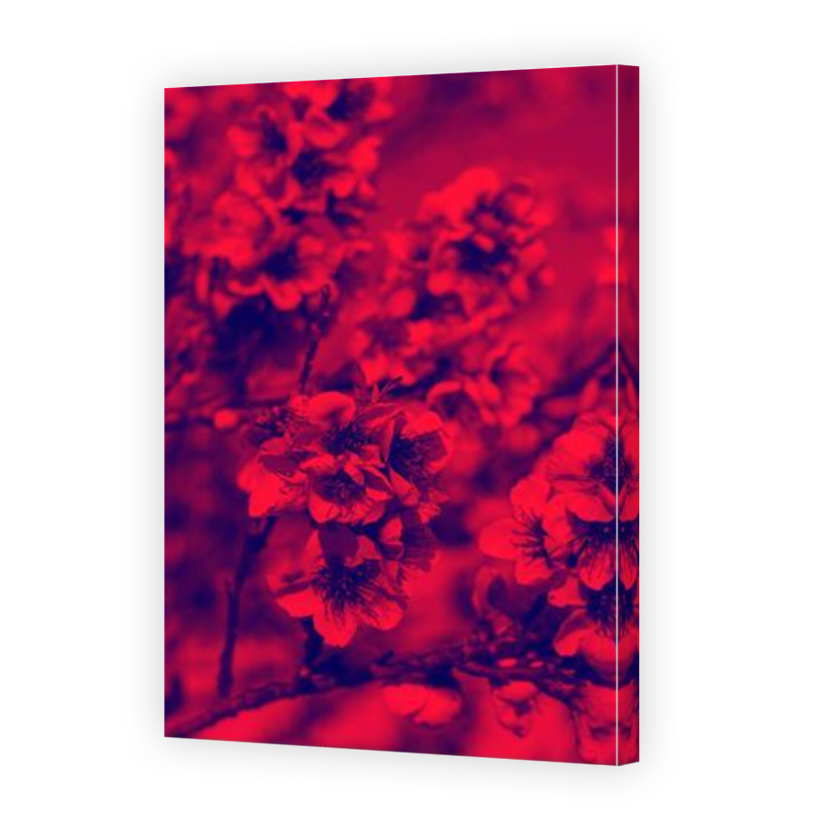 Thumbnail for Canvas - Mirror Image Canvas Wrap