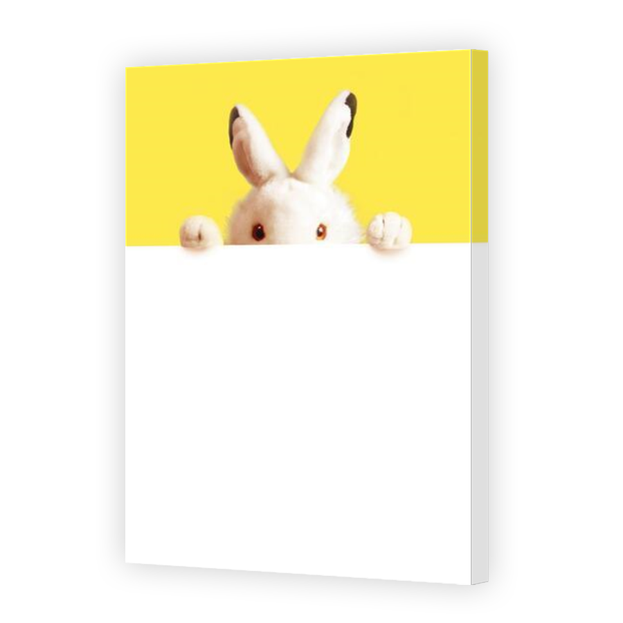 Thumbnail for Canvas - Mirror Image Canvas Wrap