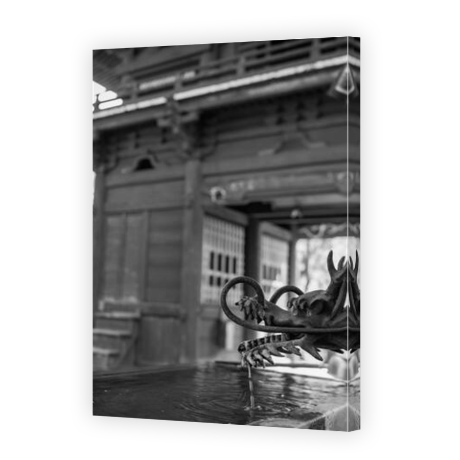 Thumbnail for Canvas - Mirror Image Canvas Wrap