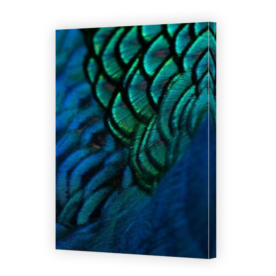 Thumbnail for Canvas - Mirror Image Canvas Wrap
