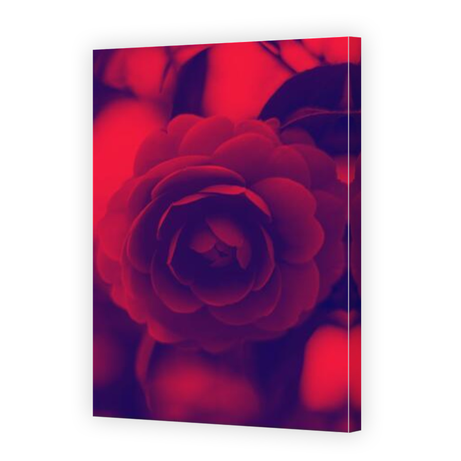 Thumbnail for Canvas - Mirror Image Canvas Wrap