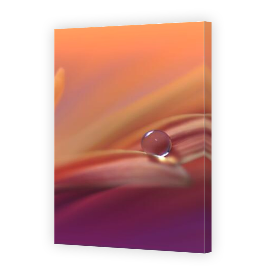 Thumbnail for Canvas - Mirror Image Canvas Wrap