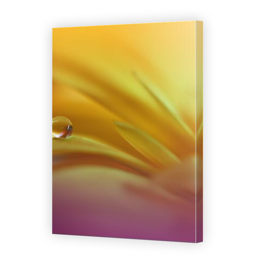 Thumbnail for Canvas - Mirror Image Canvas Wrap