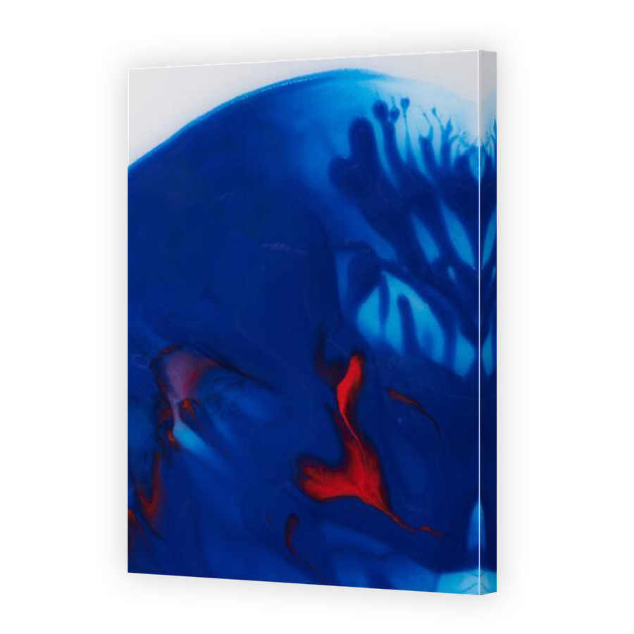 Thumbnail for Canvas - Mirror Image Canvas Wrap