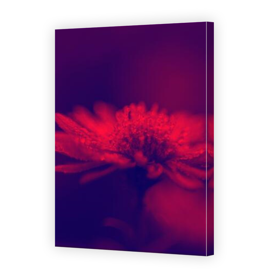 Thumbnail for Canvas - Mirror Image Canvas Wrap