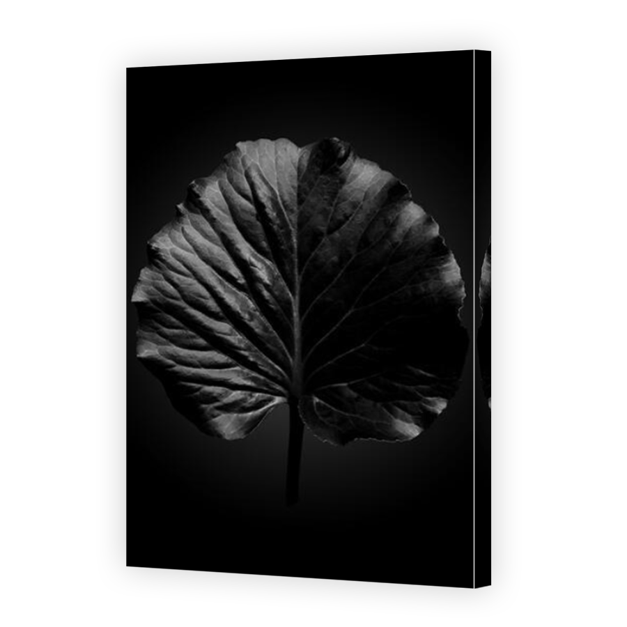 Thumbnail for Canvas - Mirror Image Canvas Wrap