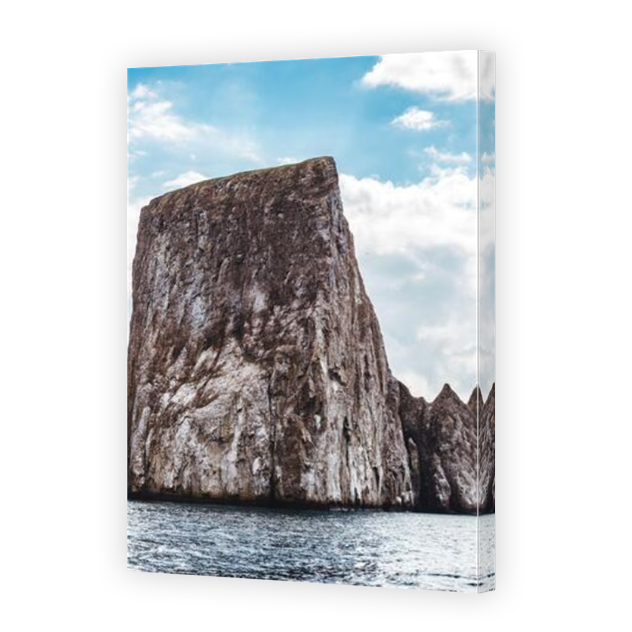 Thumbnail for Canvas - Mirror Image Canvas Wrap