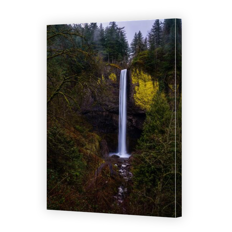 Thumbnail for Canvas - Mirror Image Canvas Wrap