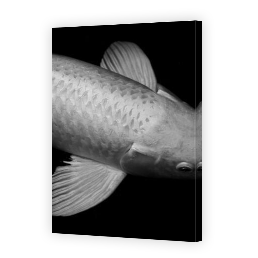 Thumbnail for Canvas - Mirror Image Canvas Wrap
