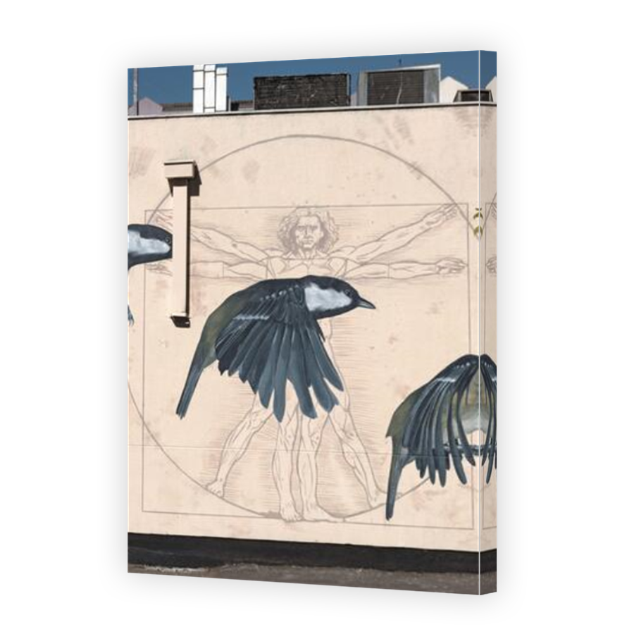 Thumbnail for Canvas - Mirror Image Canvas Wrap