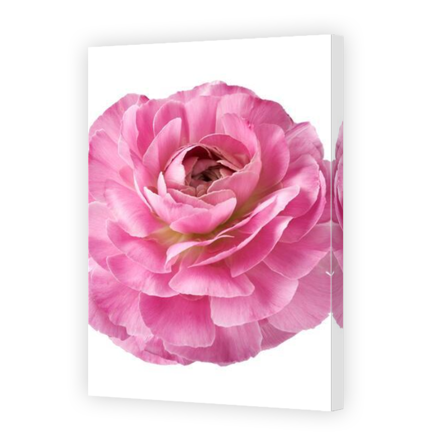 Thumbnail for Canvas - Mirror Image Canvas Wrap