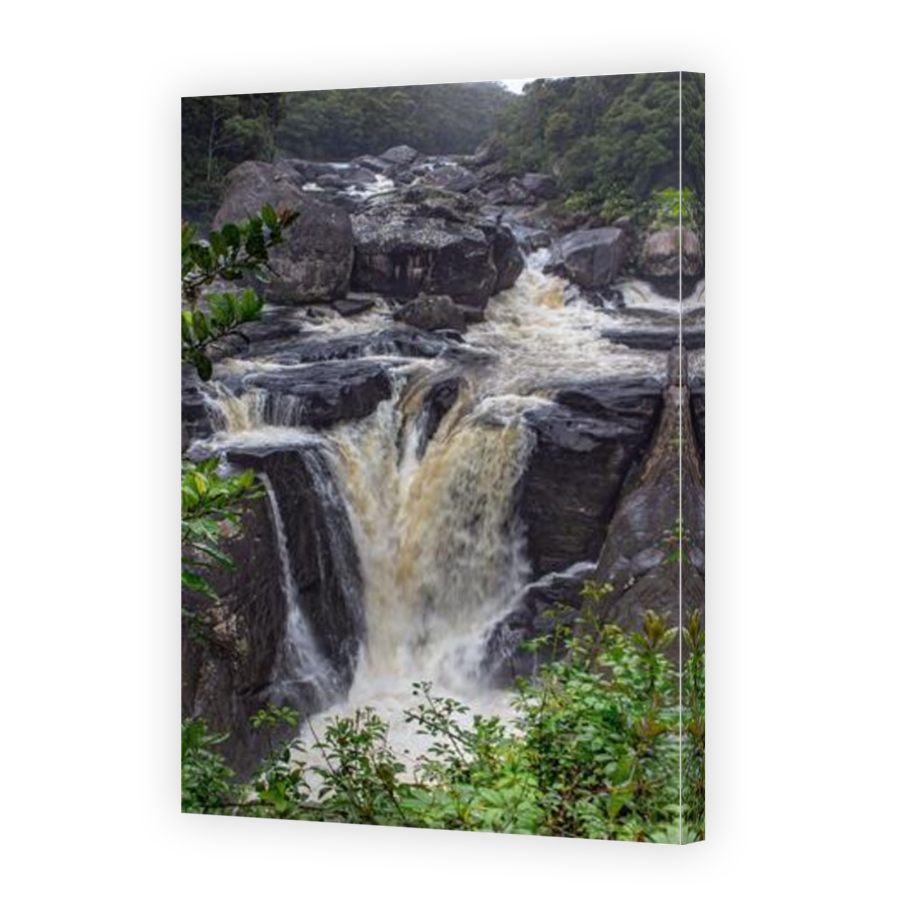 Thumbnail for Canvas - Mirror Image Canvas Wrap