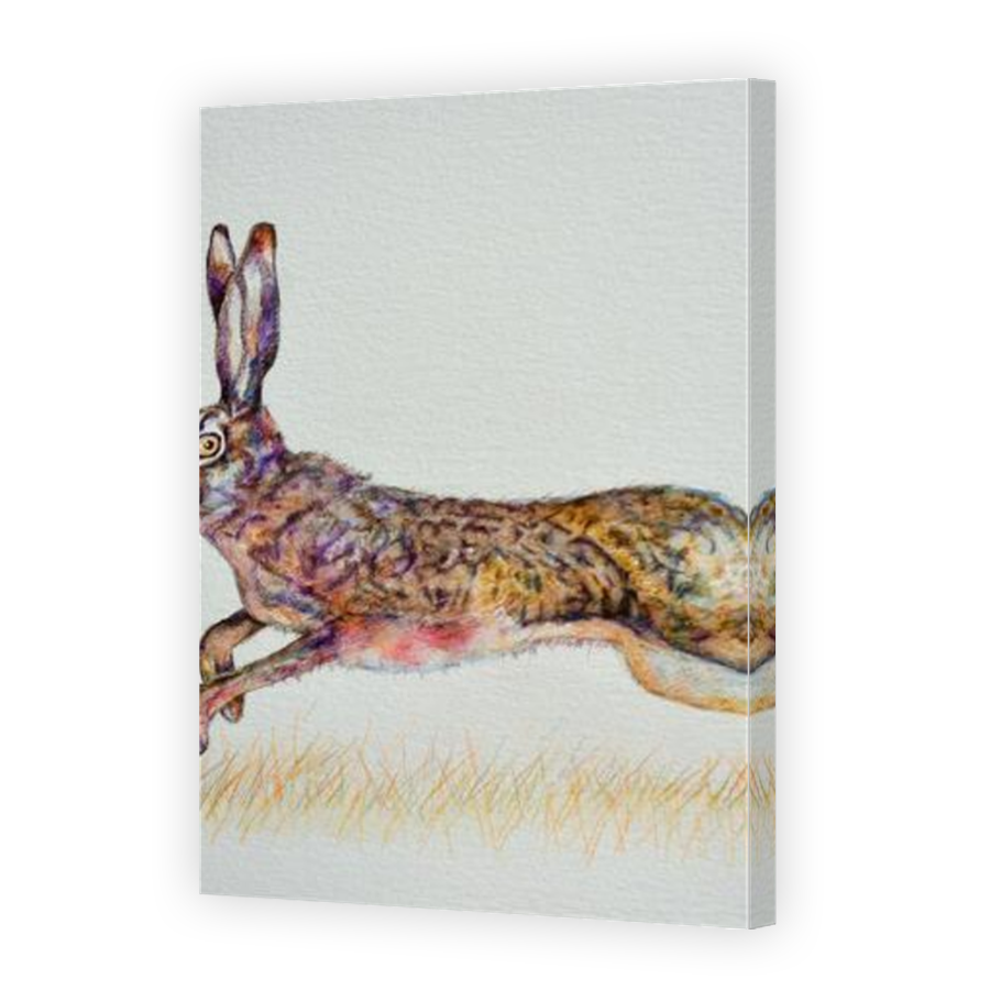 Thumbnail for Canvas - Mirror Image Canvas Wrap