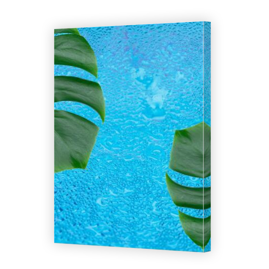 Thumbnail for Canvas - Mirror Image Canvas Wrap