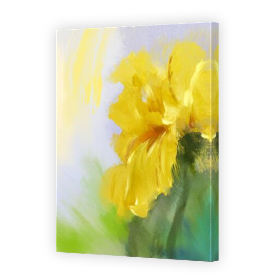 Thumbnail for Canvas - Mirror Image Canvas Wrap