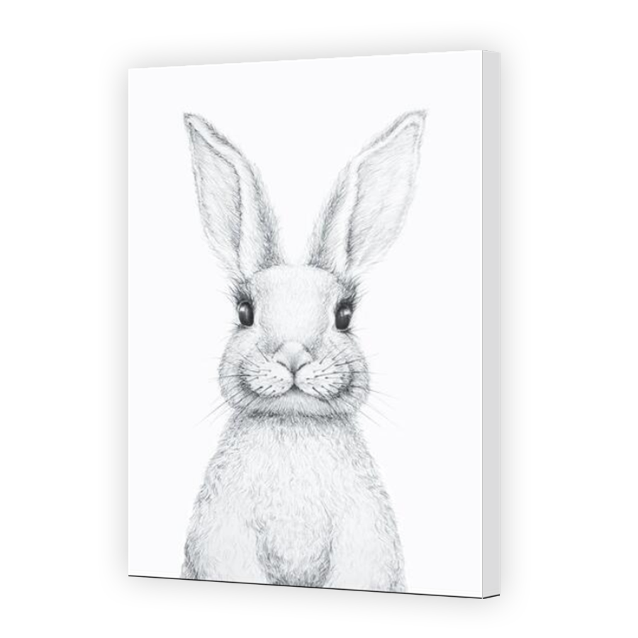 Thumbnail for Canvas - Mirror Image Canvas Wrap
