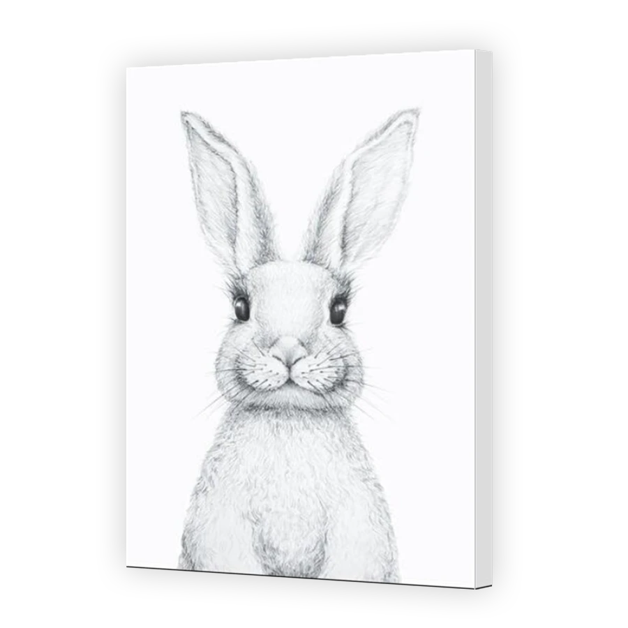 Thumbnail for Canvas - Mirror Image Canvas Wrap