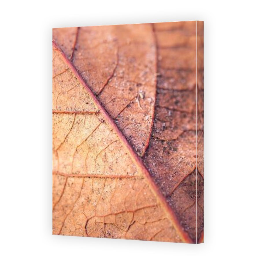 Thumbnail for Canvas - Mirror Image Canvas Wrap
