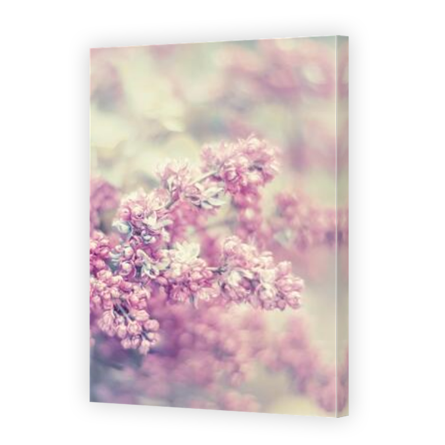 Thumbnail for Canvas - Mirror Image Canvas Wrap