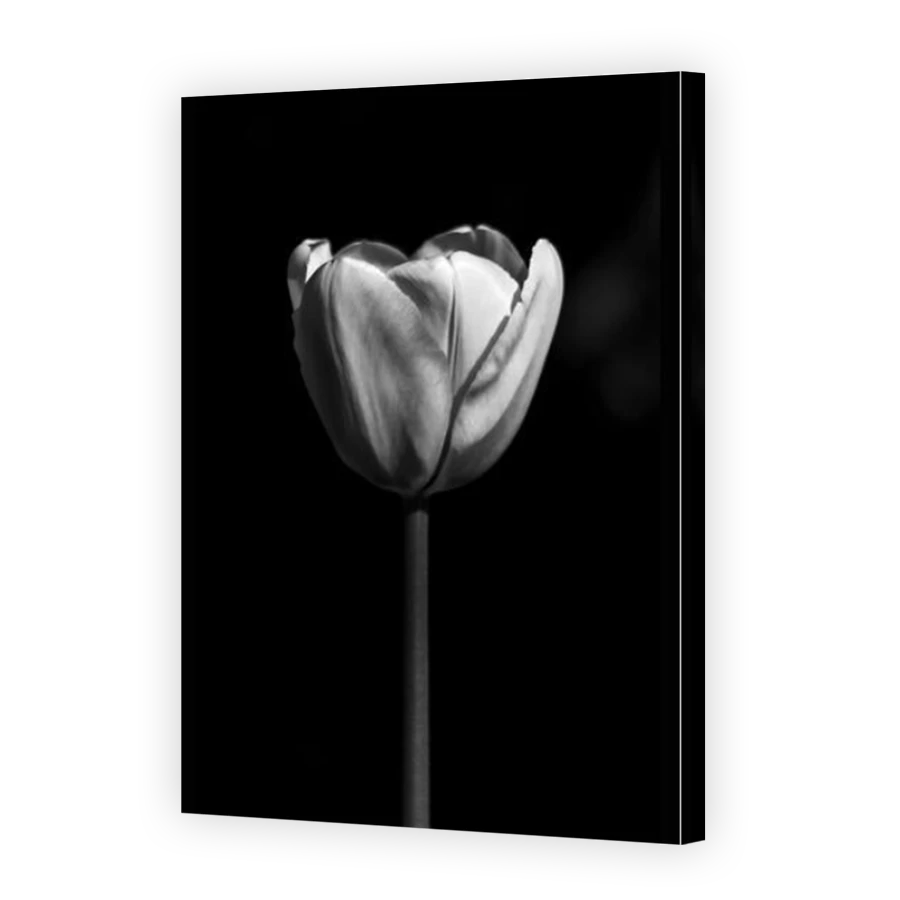Thumbnail for Canvas - Mirror Image Canvas Wrap