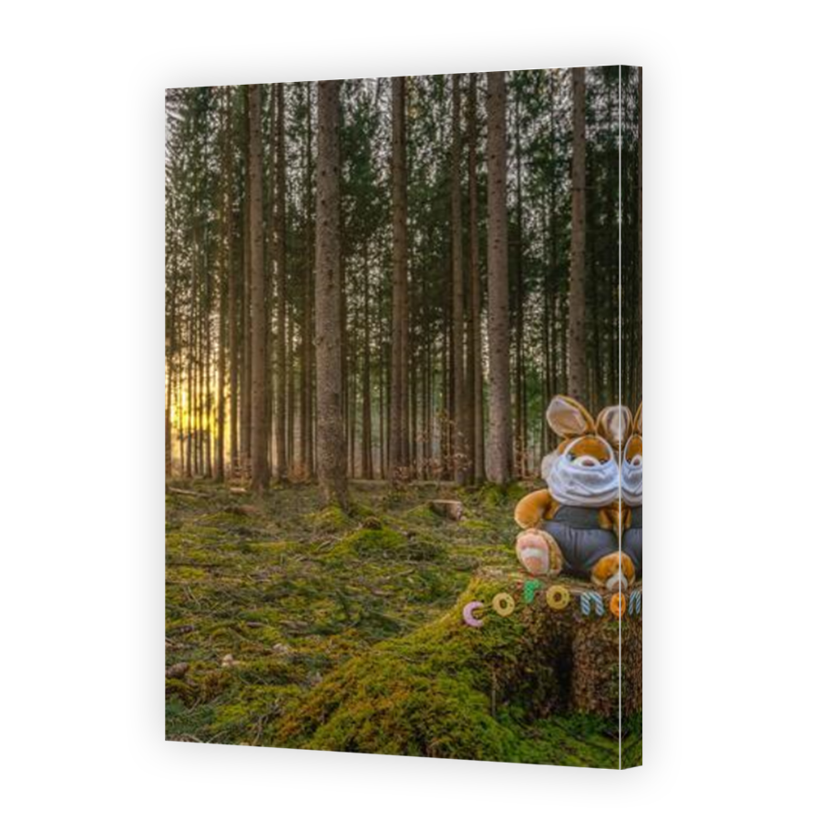 Thumbnail for Canvas - Mirror Image Canvas Wrap