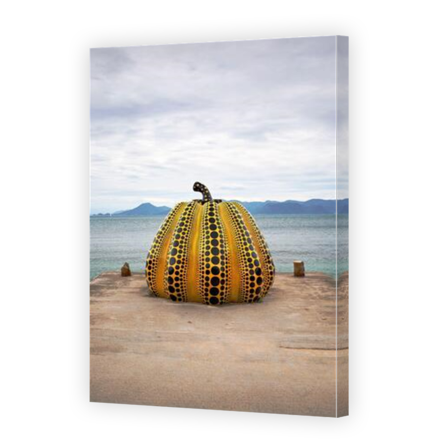 Thumbnail for Canvas - Mirror Image Canvas Wrap