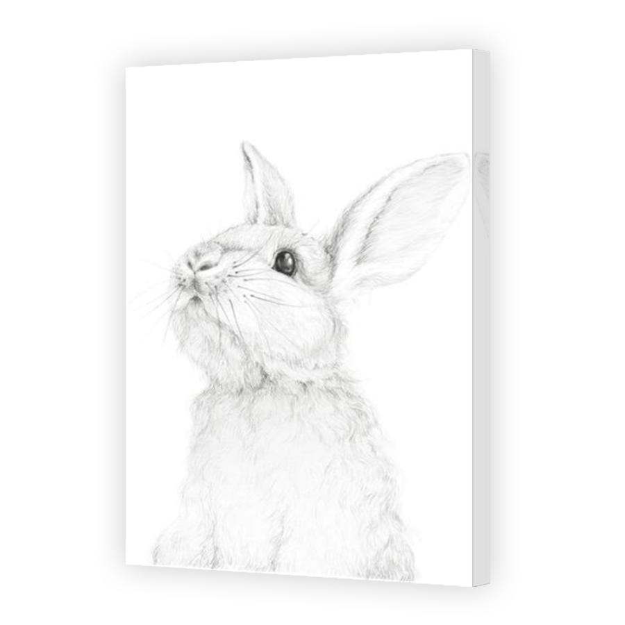 Thumbnail for Canvas - Mirror Image Canvas Wrap