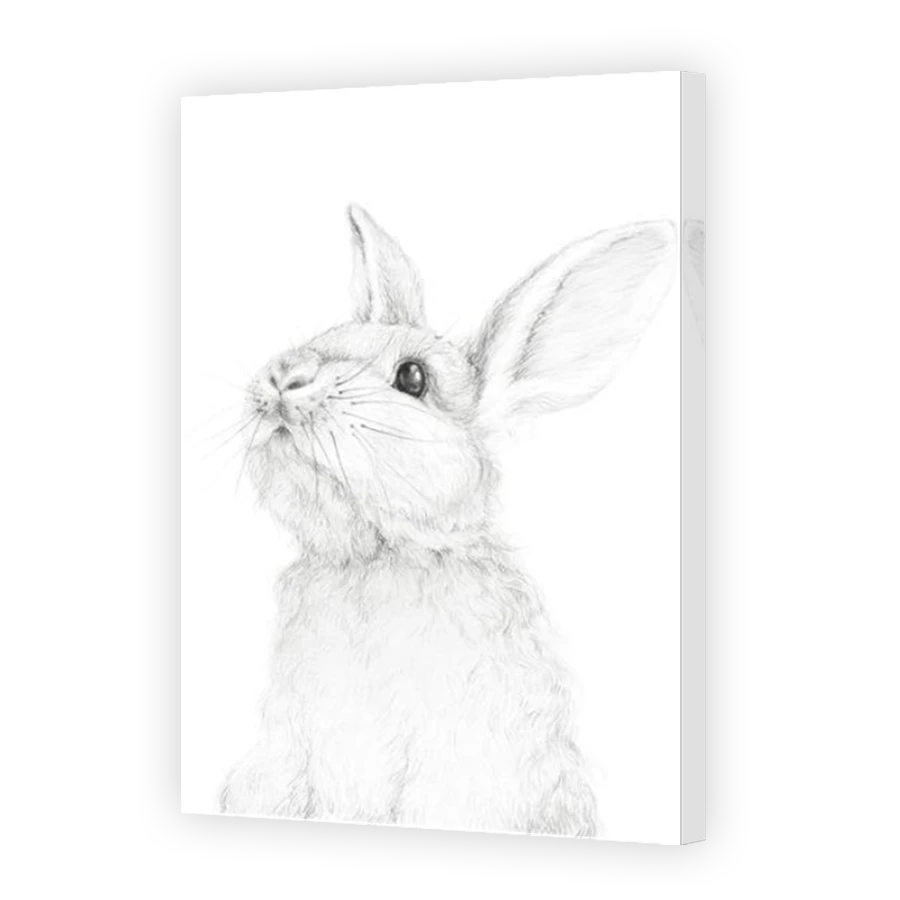 Thumbnail for Canvas - Mirror Image Canvas Wrap