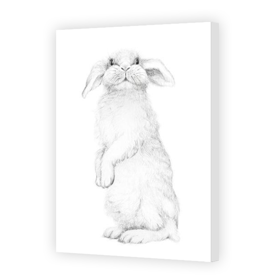 Thumbnail for Canvas - Mirror Image Canvas Wrap