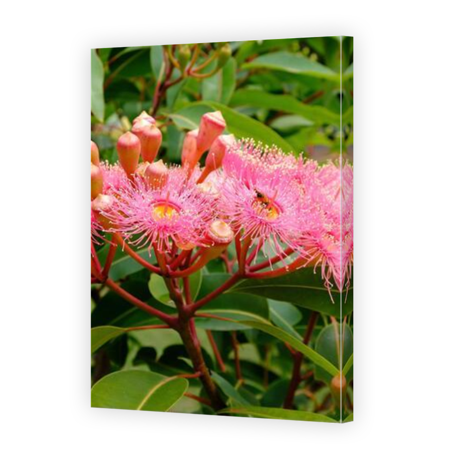 Thumbnail for Canvas - Mirror Image Canvas Wrap