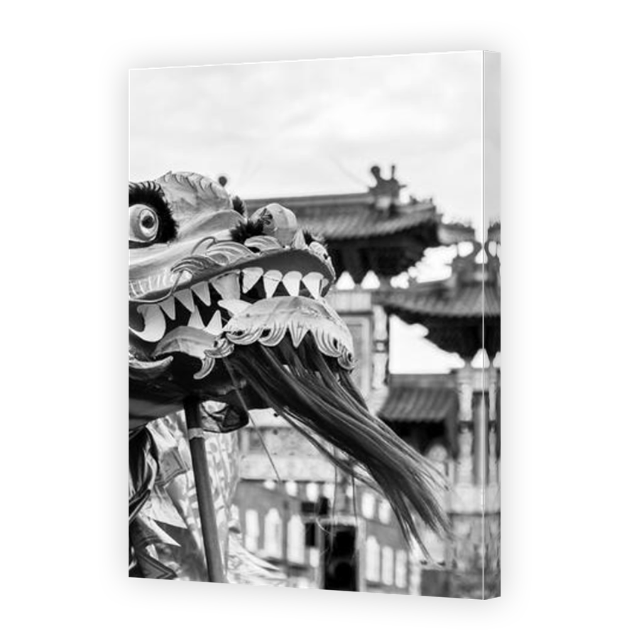 Thumbnail for Canvas - Mirror Image Canvas Wrap