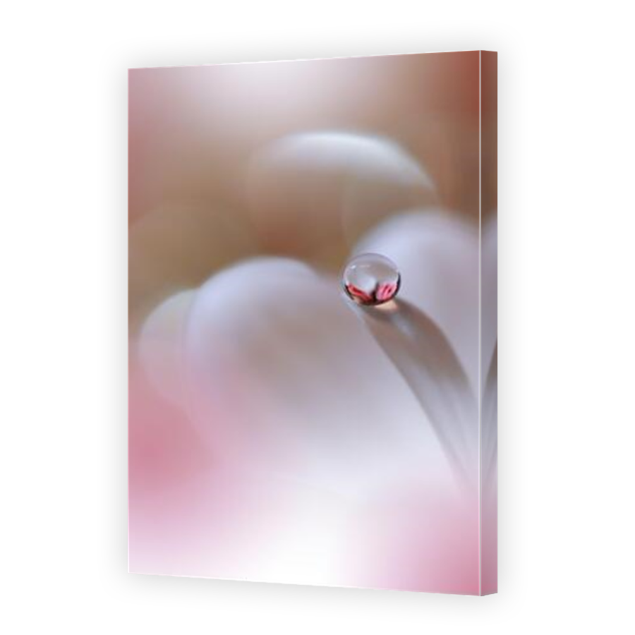 Thumbnail for Canvas - Mirror Image Canvas Wrap