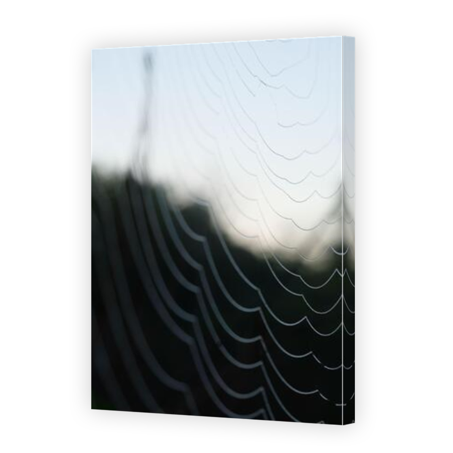 Thumbnail for Canvas - Mirror Image Canvas Wrap