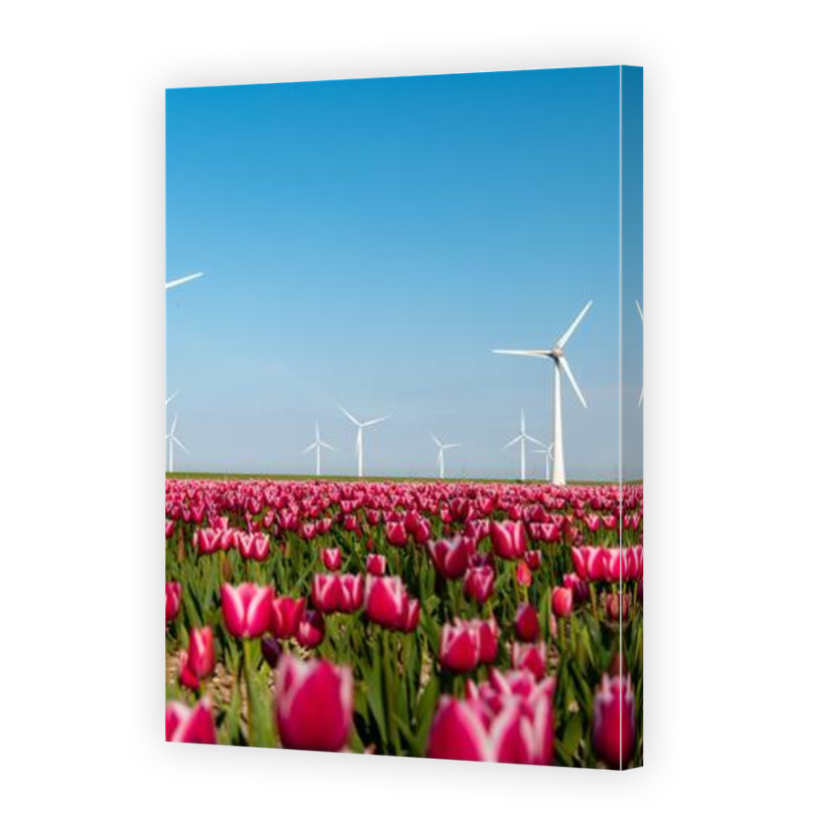 Thumbnail for Canvas - Mirror Image Canvas Wrap