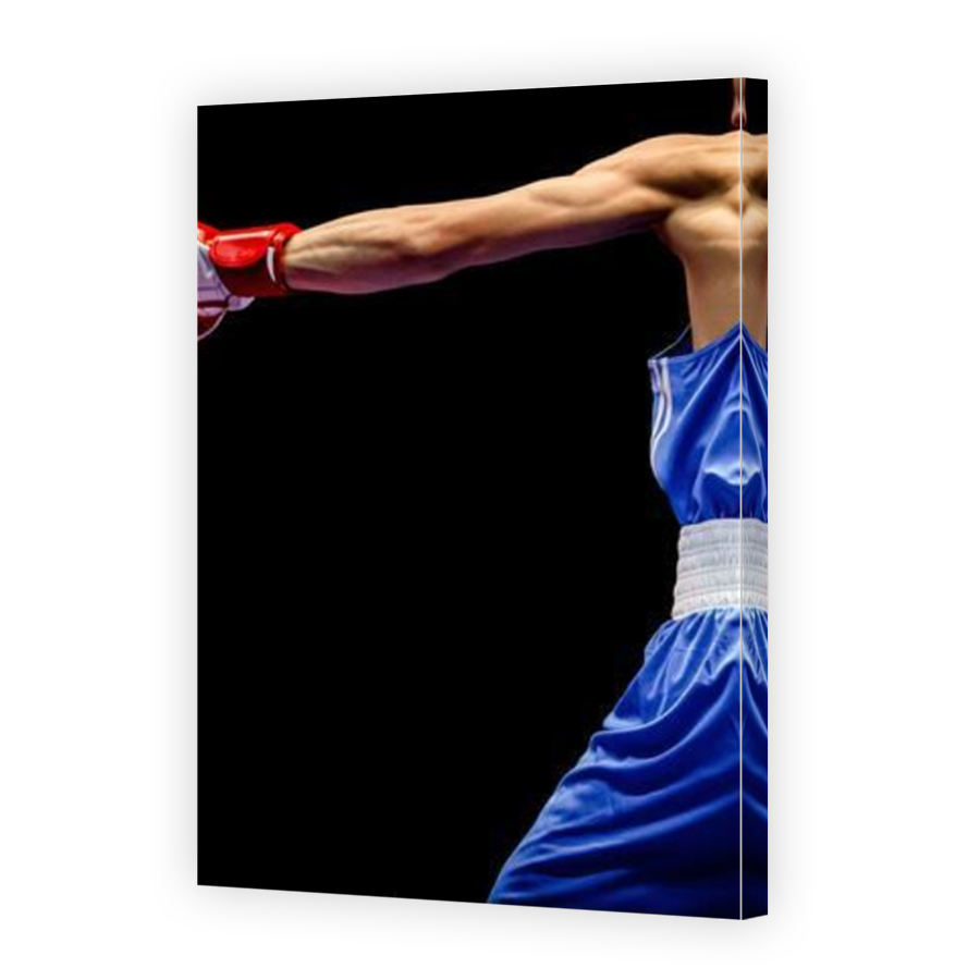 Thumbnail for Canvas - Mirror Image Canvas Wrap