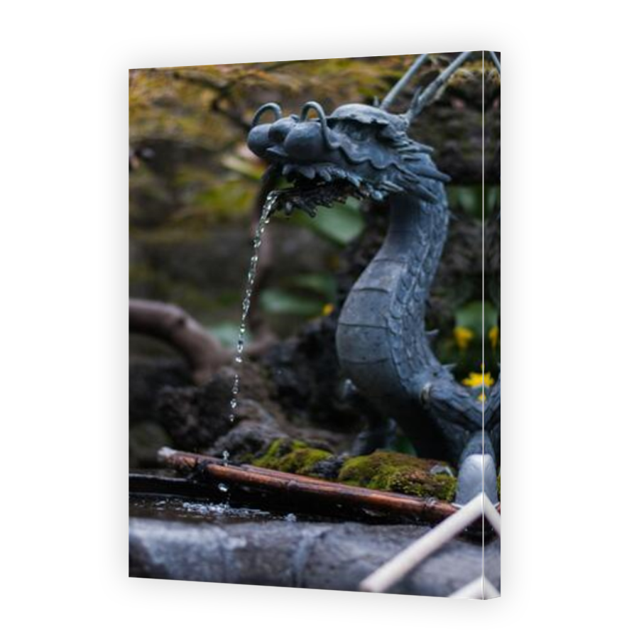 Thumbnail for Canvas - Mirror Image Canvas Wrap