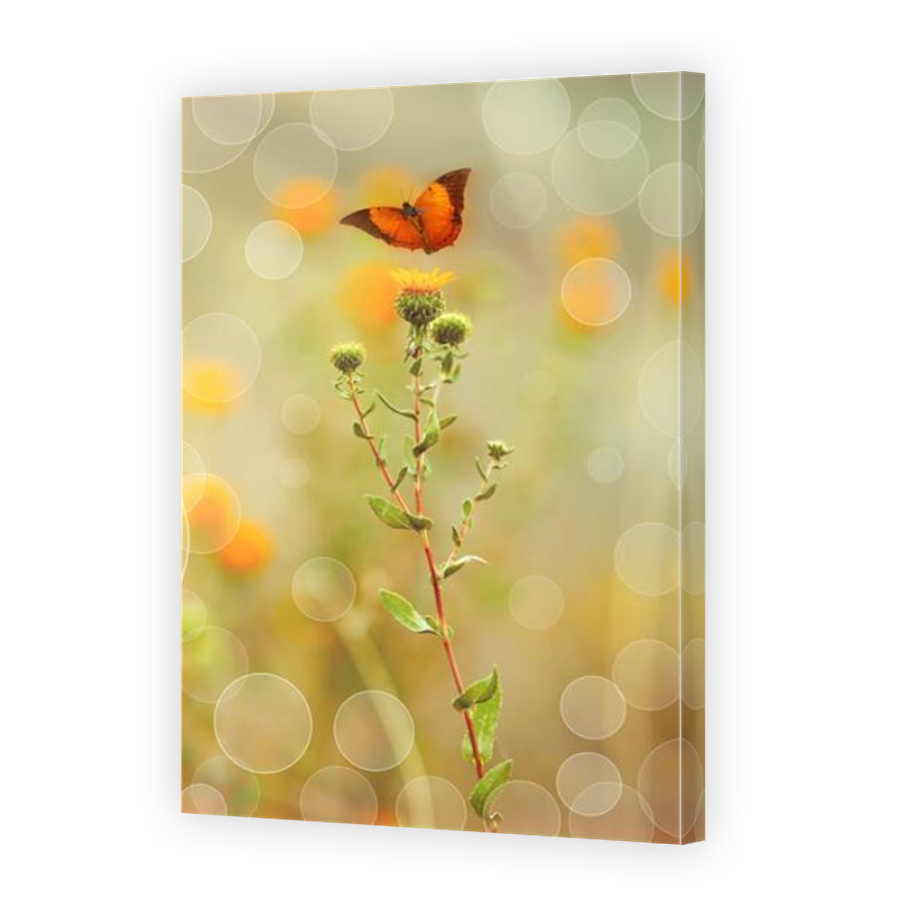Thumbnail for Canvas - Mirror Image Canvas Wrap
