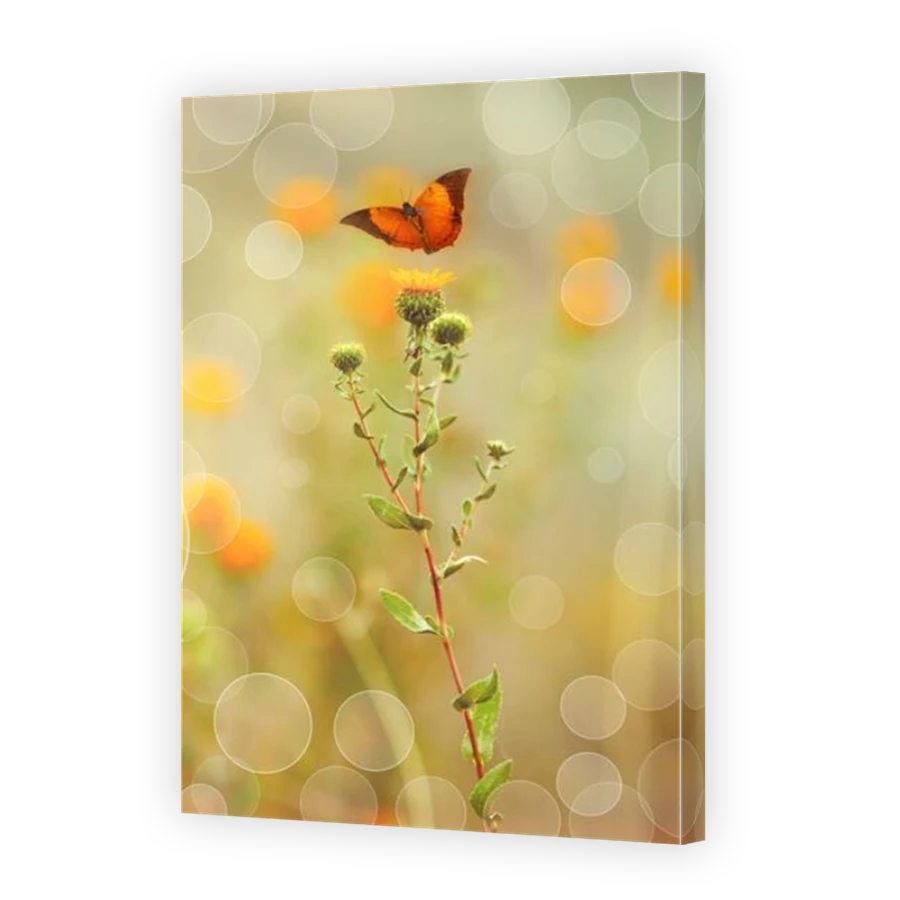 Thumbnail for Canvas - Mirror Image Canvas Wrap