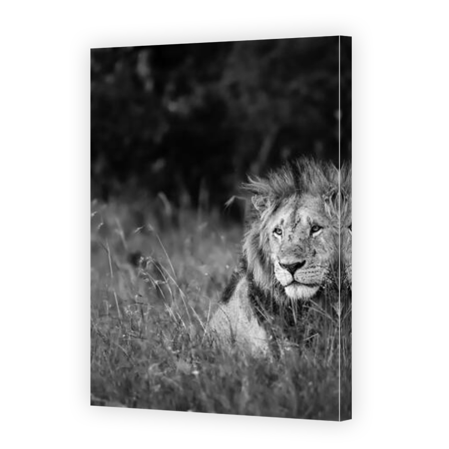Thumbnail for Canvas - Mirror Image Canvas Wrap
