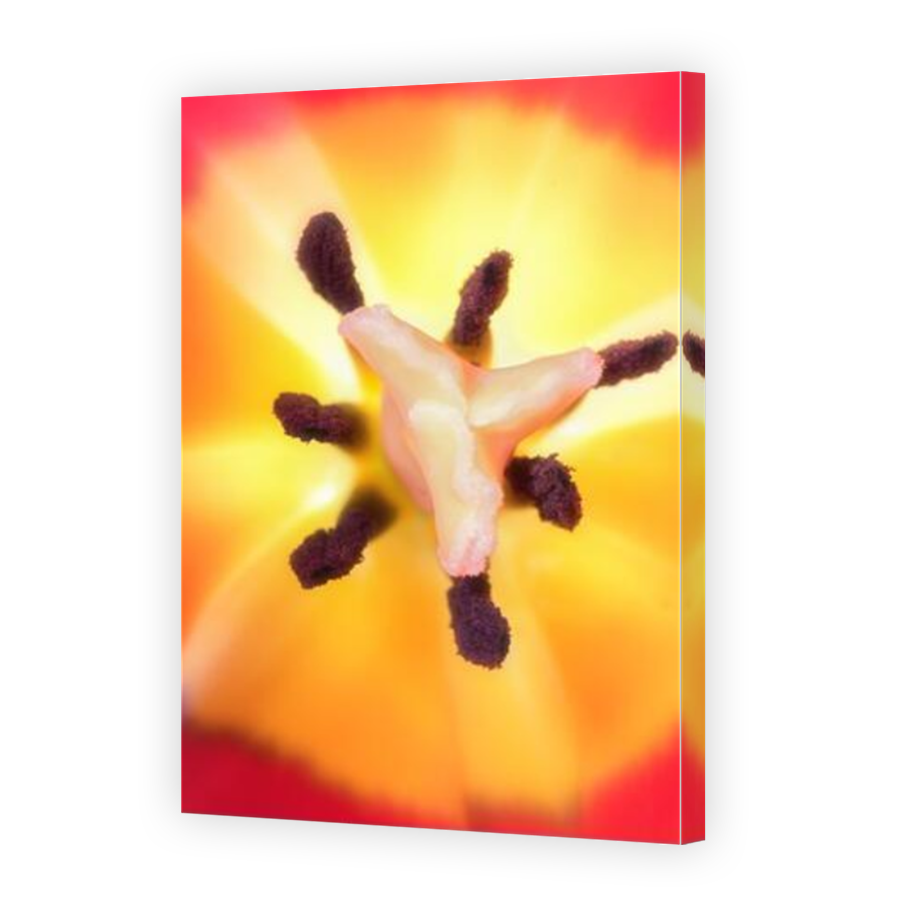 Thumbnail for Canvas - Mirror Image Canvas Wrap